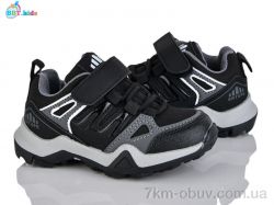 BBT H651-2-2 фото