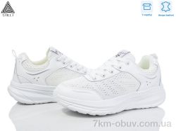 STILLI Group CX810-2 шкіра піна фото