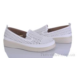 Lion-Lu 2024-20 фото