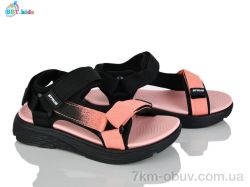 BBT L851-3-6 фото