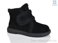 Teetspace-Trasta-Egga WMP1117-1 фото