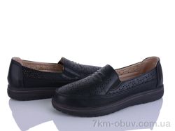 Lion-Lu 2024-52 фото