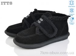 ITTS DX11-1 фото