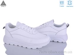 STILLI Group XG50-1 шкіра фото