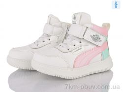 Victoria HY087-3 фото