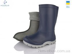 Acorus Асоль синій фото