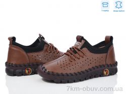 Захар-Gold 0T14-3 фото