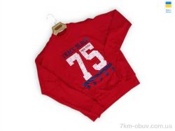 Sport style 81 червоний фото