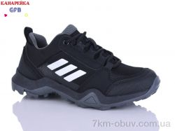 GFB-Канарейка R310-2 фото