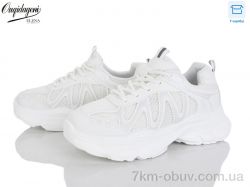 Dageni Y80-2 фото