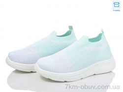 Moli L35-3 піна фото