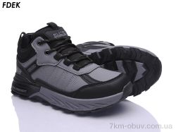FDEK R9355-3 фото