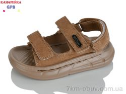 GFB-Канарейка T63-3 фото