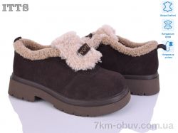 ITTS 1236-41 фото