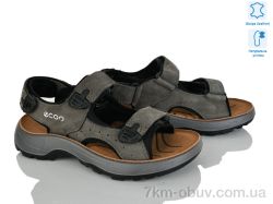 KIMBOO T61-3L фото