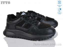 ITTS BK191-2 фото