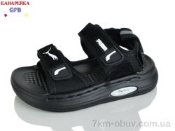 GFB-Канарейка T66-6 фото