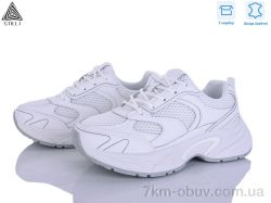 STILLI Group T20-1 шкіра фото