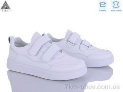 STILLI Group R40-1 шкіра фото