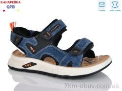 GFB-Канарейка R825-4 фото