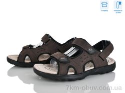 Hongquan F16-3 фото