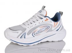 Ditof B0069-2 фото