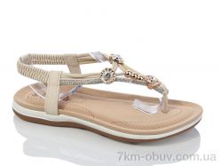 Laguna ST11-3 фото