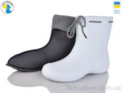 Jose Amorales 119290-2 фото