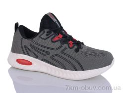 Pet A9097-5 фото