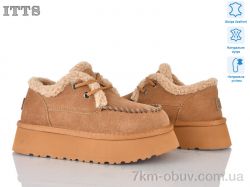 ITTS F255-20 фото