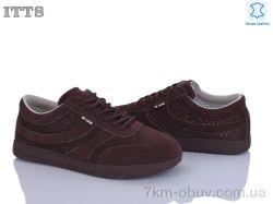 ITTS P02-5 фото