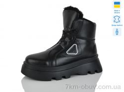 Carolina Z2083-1 фото