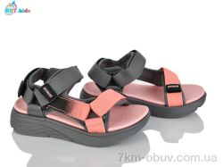 BBT L851-2-5 фото