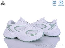 STILLI Group T50-7 шкіра фото