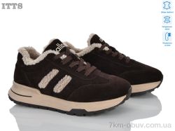 ITTS X391-3 фото