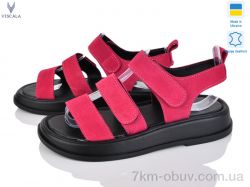 Viscala 23212 мал.з. фото