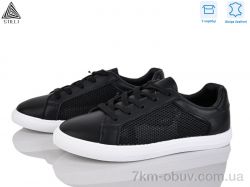 STILLI Group XB30-2 шкіра фото