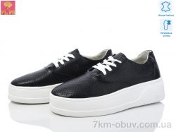 PLPS 0071-1 фото