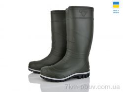 Golden Lion RB101 зелений фото