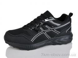 Moli B8021-3 фото