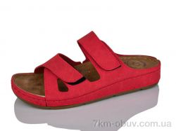 STT 1800 червоний фото