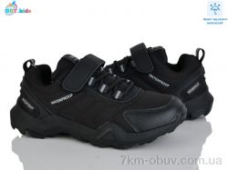 BBT H660-3-3 фото