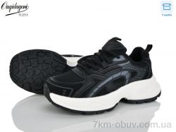 Dageni CM1102-1 фото