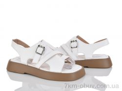 Loretta E731-2 фото