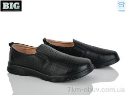 BIG D1012-2 фото