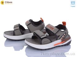Clibee ZB2316-3 фото