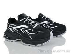 Loretta K524 фото