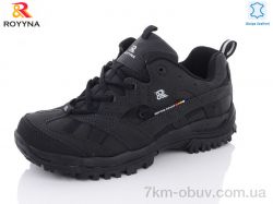 ROYYNA 006DB-43 фото