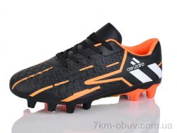 ASHIGULI C09-31 фото