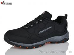 Supo-Vegas A2862-9 фото